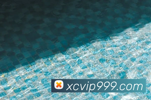 奖项图2
